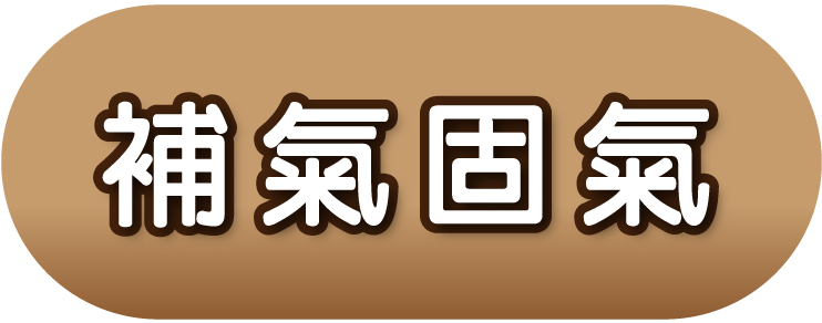 補氣固氣