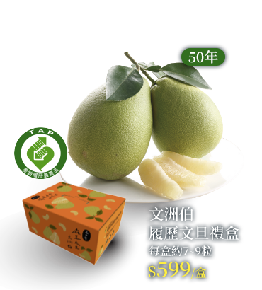 文洲伯50年麻豆文旦禮盒 