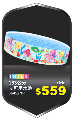 INTEX 183公分立可用水池