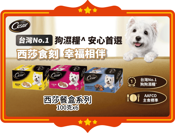 西莎