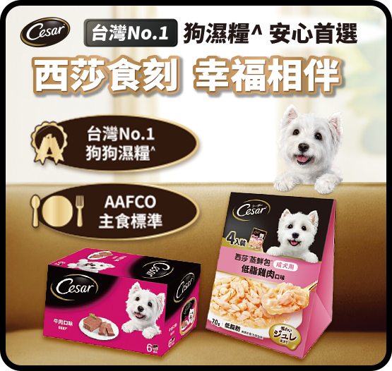 西莎
