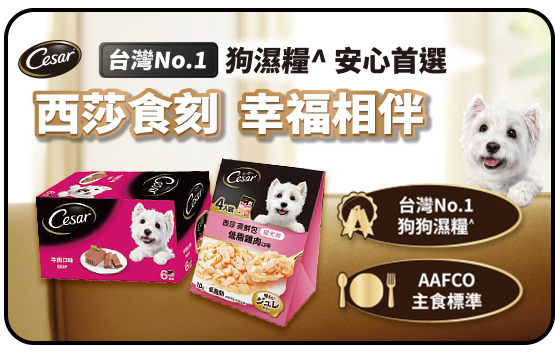 西莎