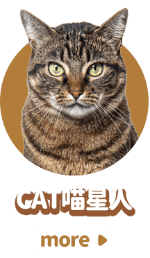 cats喵星人