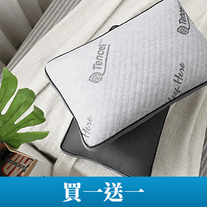 【Darphia】可水洗獨立筒枕