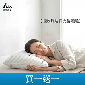 【凱美棉業】高級防蟎抗菌壓縮枕