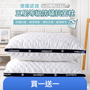 【FOCA】五星等星等級 德國銀離子防蹣抗菌立體舒眠枕