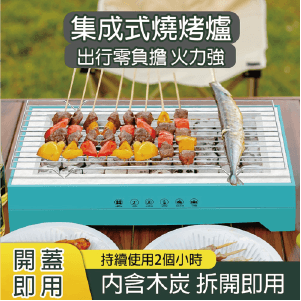 【HABABY環安家居】炭次元 一次性拋棄式生火架(大盒)