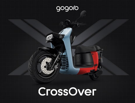 gogorocross
