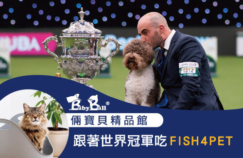 傑安答