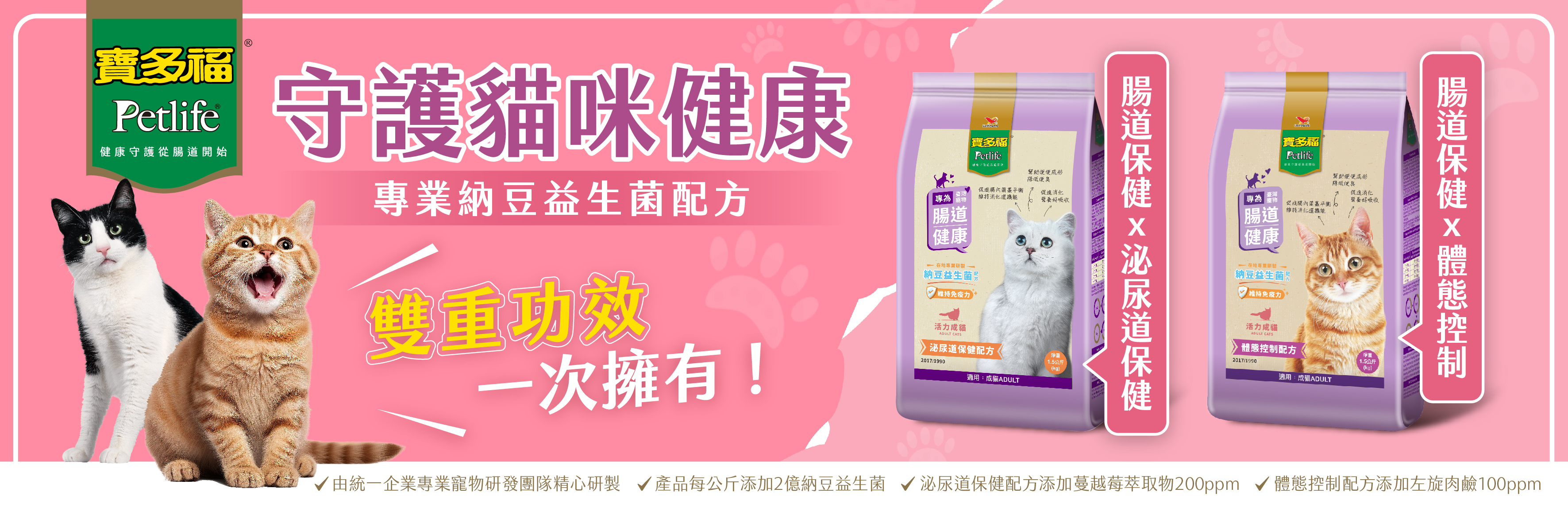 守護貓咪健康