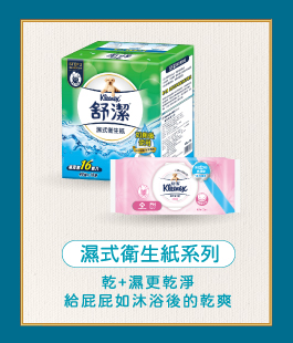 濕式衛生紙系列
